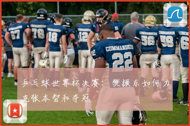 乒乓球世界杯决赛：樊振东如何力克张本智和夺冠