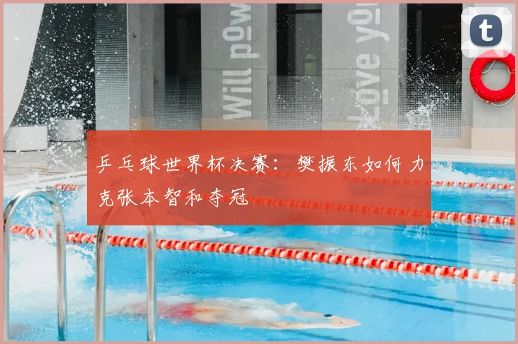 乒乓球世界杯决赛：樊振东如何力克张本智和夺冠